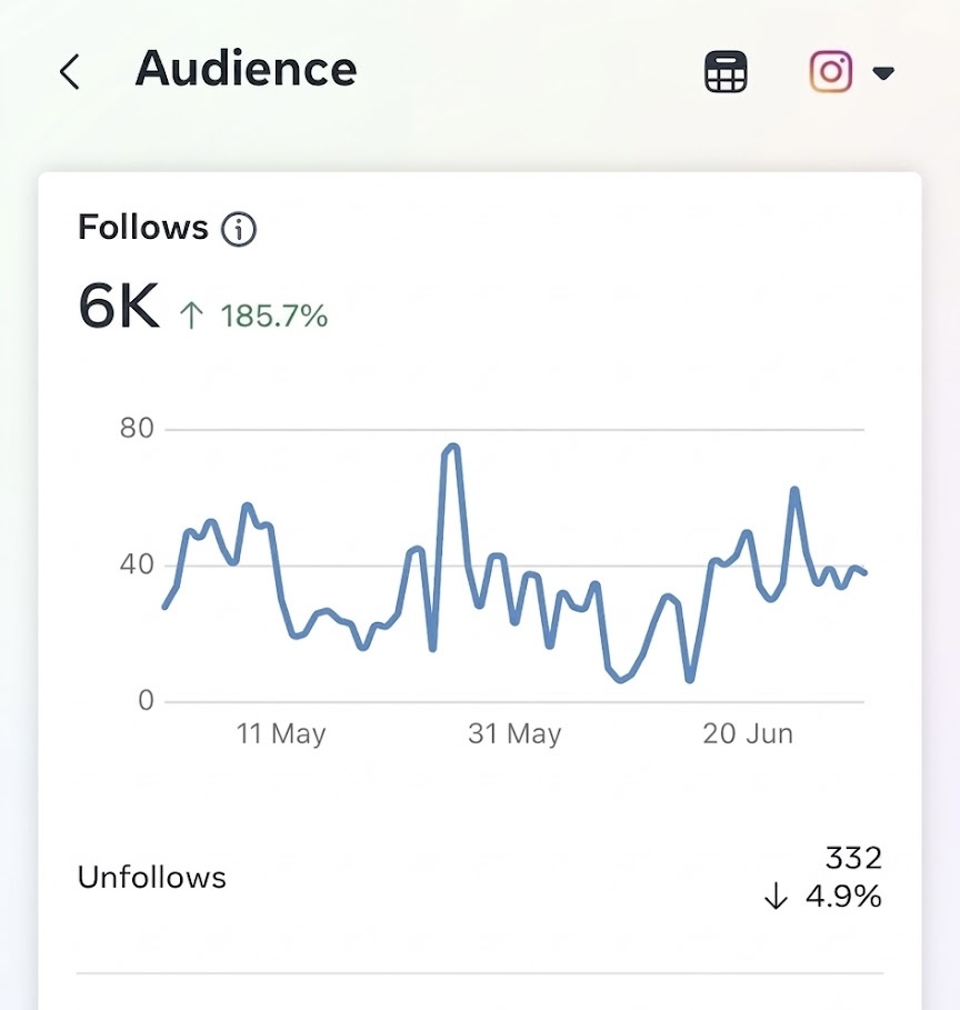 Meta audience dashboard showing 6,000 follows and +185.7% growth during the one-month content campaign